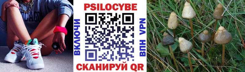 Псилоцибиновые грибы MAGIC MUSHROOMS  Сальск 